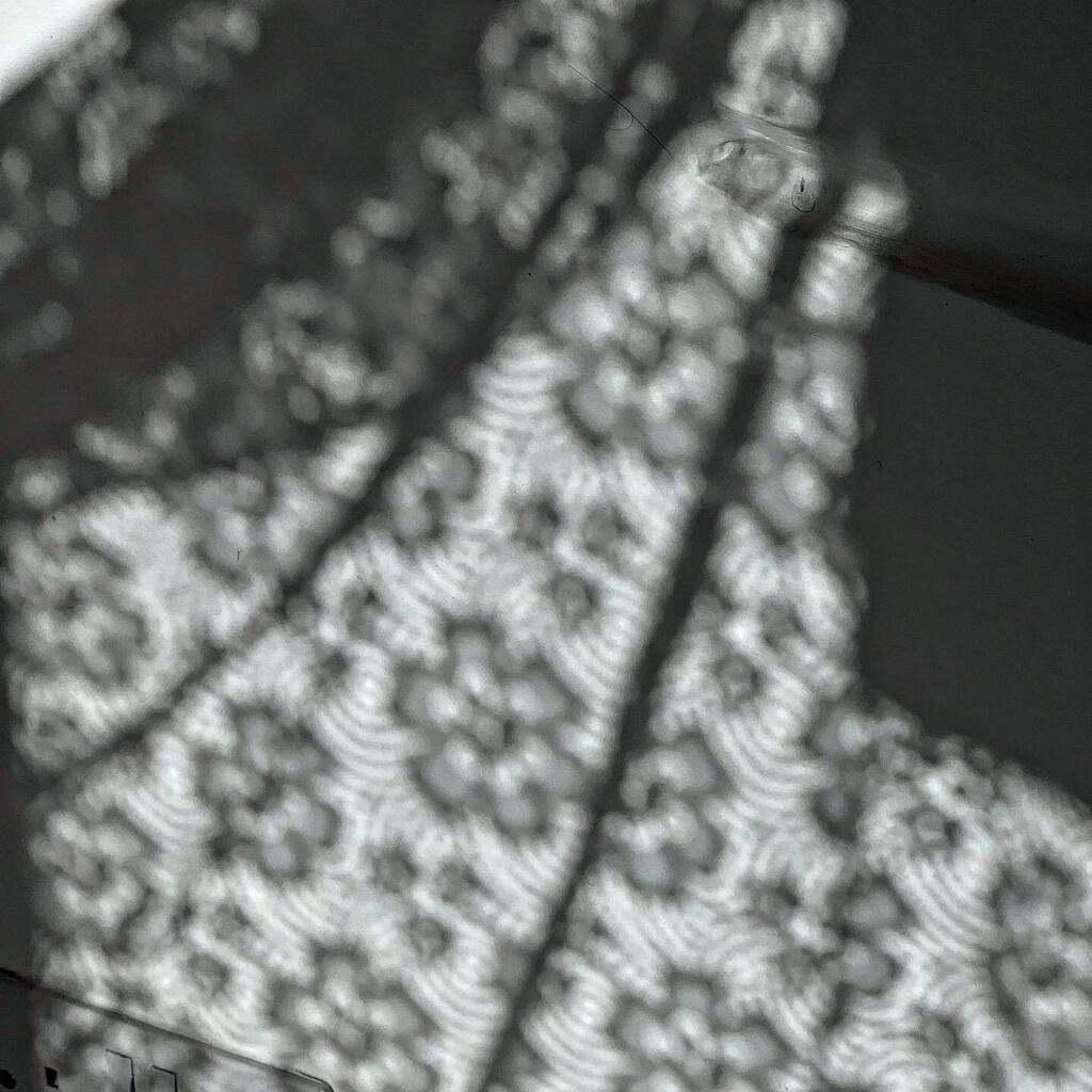 When you’re meant to be hanging to clothes but end up playing with shadows

#shadows #lightandshadow #photography #observstions #giolacassar #florals #play #sun #naturallight instagr.am/p/Cpaci-IILG6/