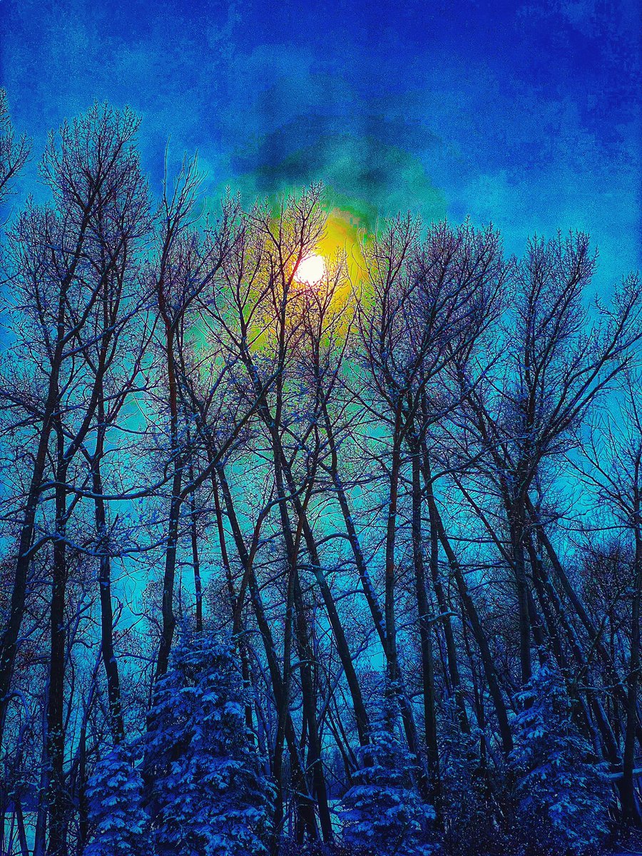 Good morning 
I hope you all live with passion 

“When I stand at the end of my life, I would hope that I would not have a single bit of talent left and could say, I used everything you gave me.”

Always go with your passions. Never ask yourself if it’s realistic or not

Passion