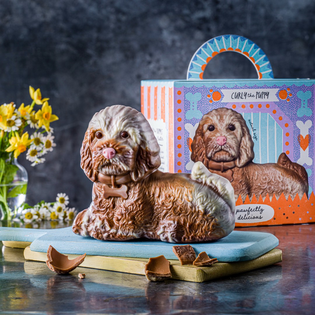 M&S on Twitter "Introducing Curly the Puppy man’s best friend in