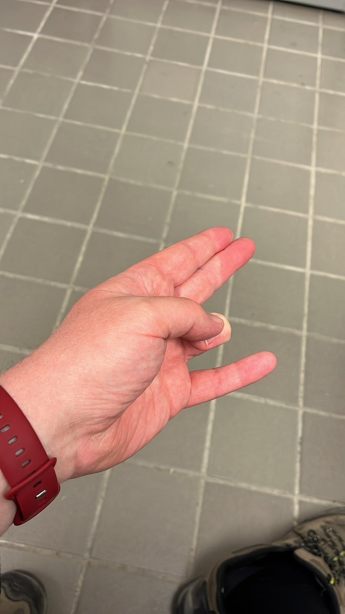 TinyTruckin tweet media