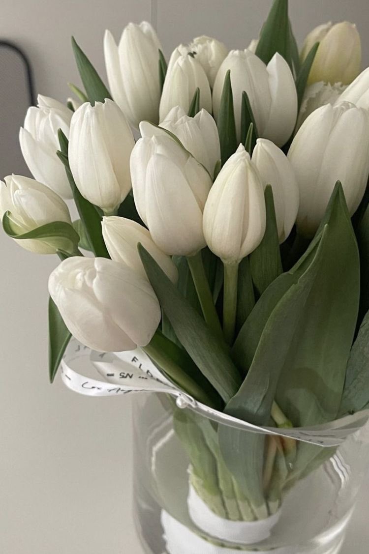 liviuuh's tweet image. white tulips