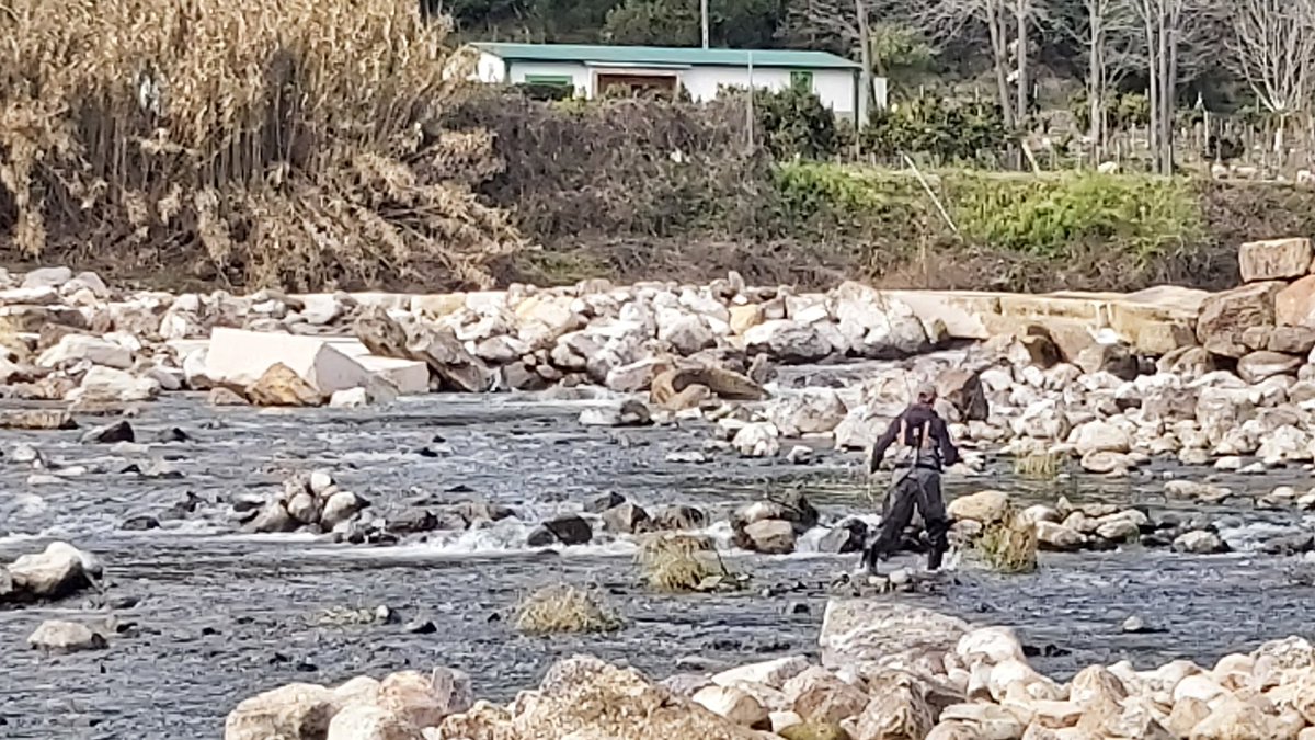 CarlosMAlexand's tweet photo. Open day for trout fishing in Mondego. A great oportunity for collaboration between scientists and anglers to catch and tag trouts, while discussing, in situ, conservation and management actions for diadromous fishes.
@univdeevora @MARE_centre @AtlanticArea #DiadESproject https://t.co/62kq4FoT6u