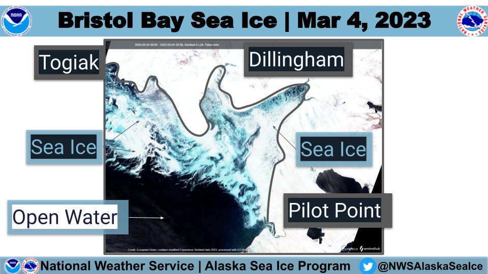 @sentinel_hub image from Mar 4, 2023 of Bristol Bay, AK. Following a period of sea ice growth in recent days, the pattern has shifted to south/southeasterly winds plus warmer temperatures, which will cause that new ice to melt over the coming days. @kdlgradio #akseaice