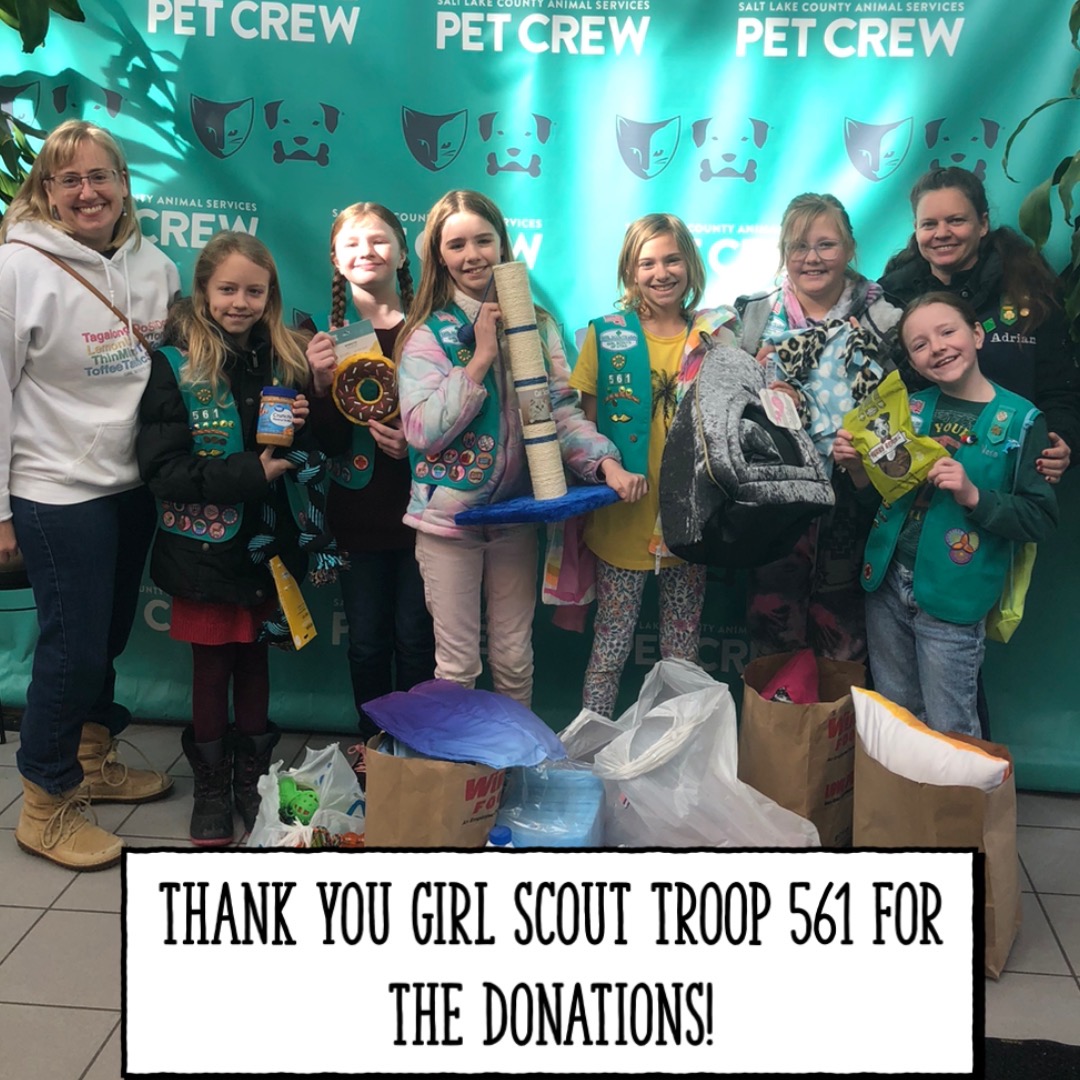 SLCoAnimals's tweet image. Thank you @girlscouts #Utah for the donations! #adoptutahpets #slco #sunday