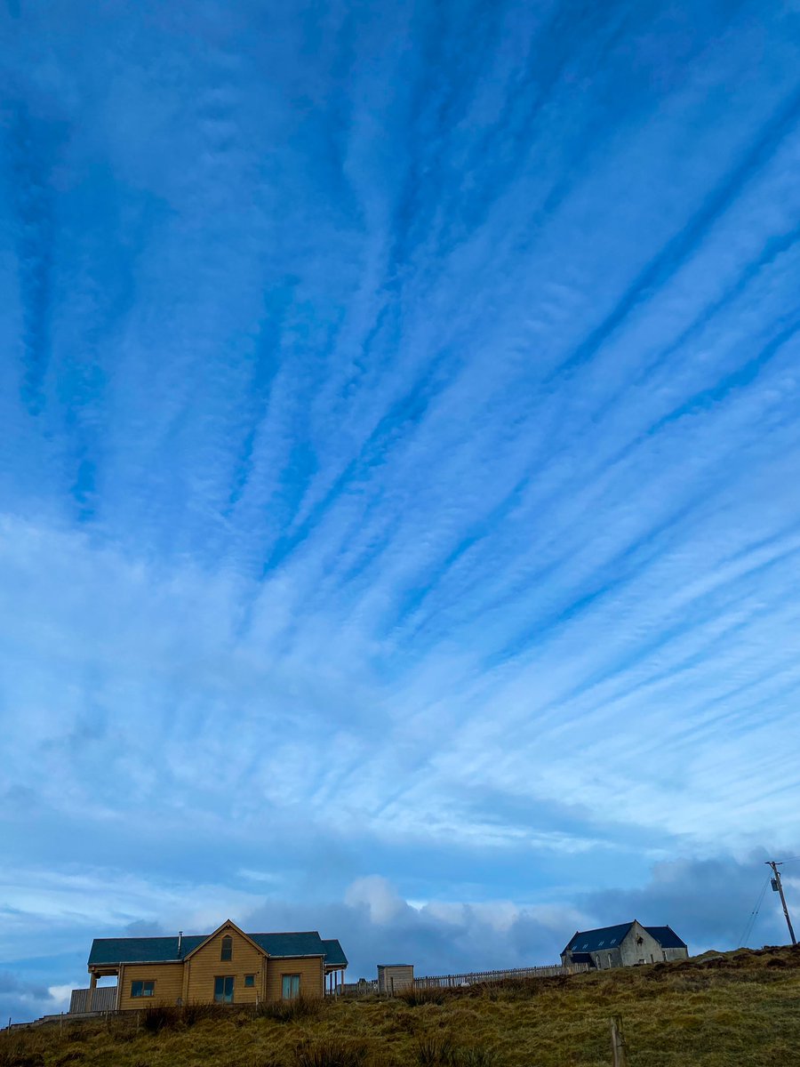 Stacey Macdonald tweet media