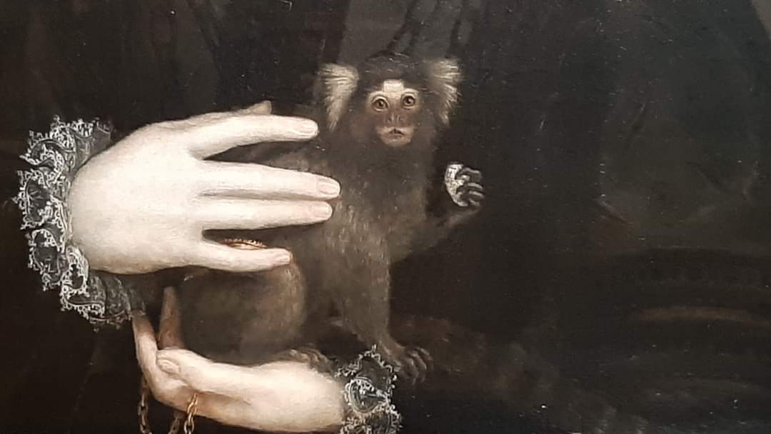 Wonderschoon: de schilderijen van #SofonisbaAnguissola (1532-1625). Zomaar in Museum Twenthe (ruim en rustig) in Enschede. @RijksmuseumT