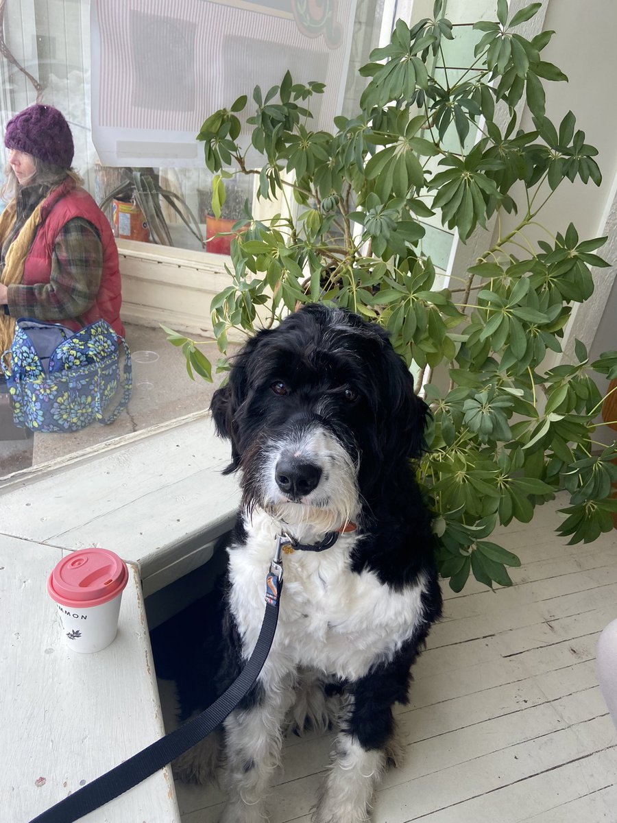 Really trying to cut down on the caffeine, but I just love my Sunday latte.