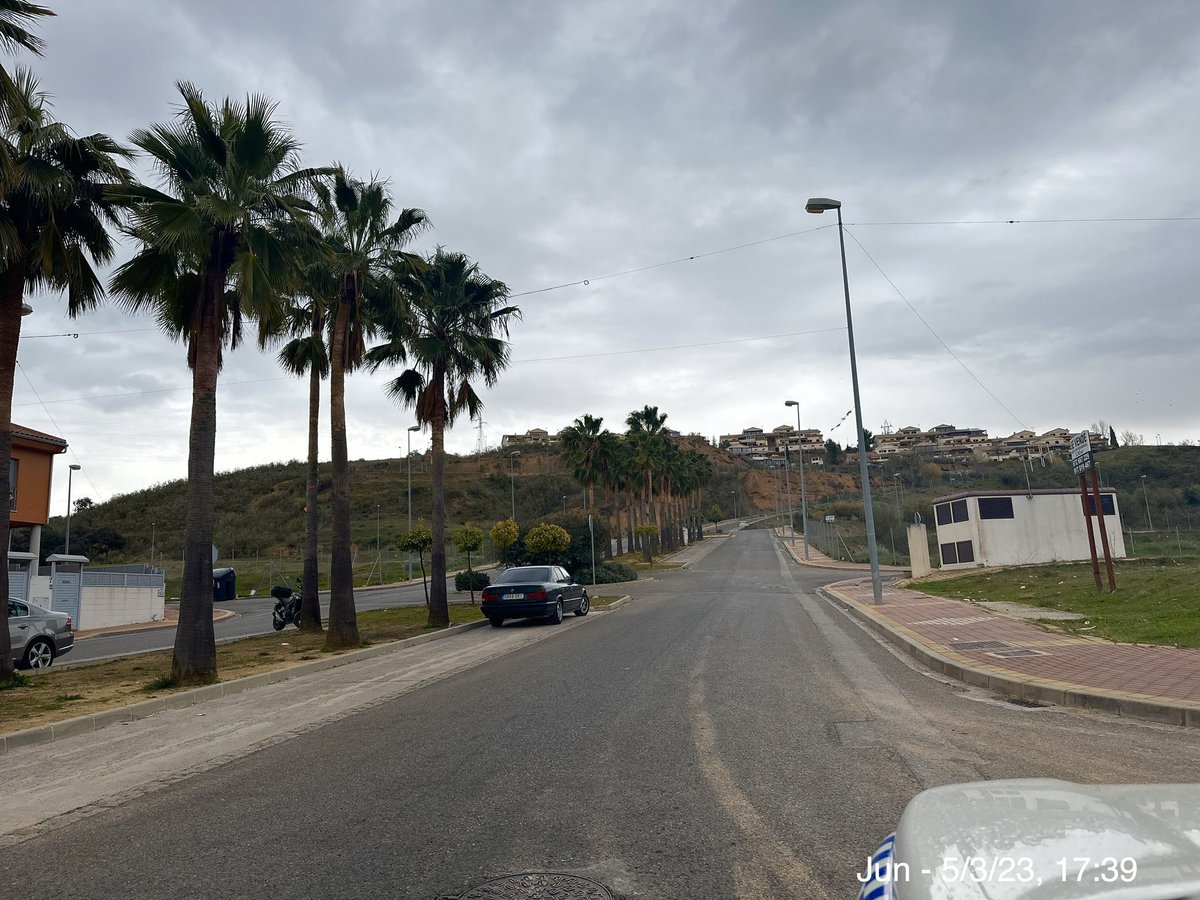 Aurora Suárez tweet media