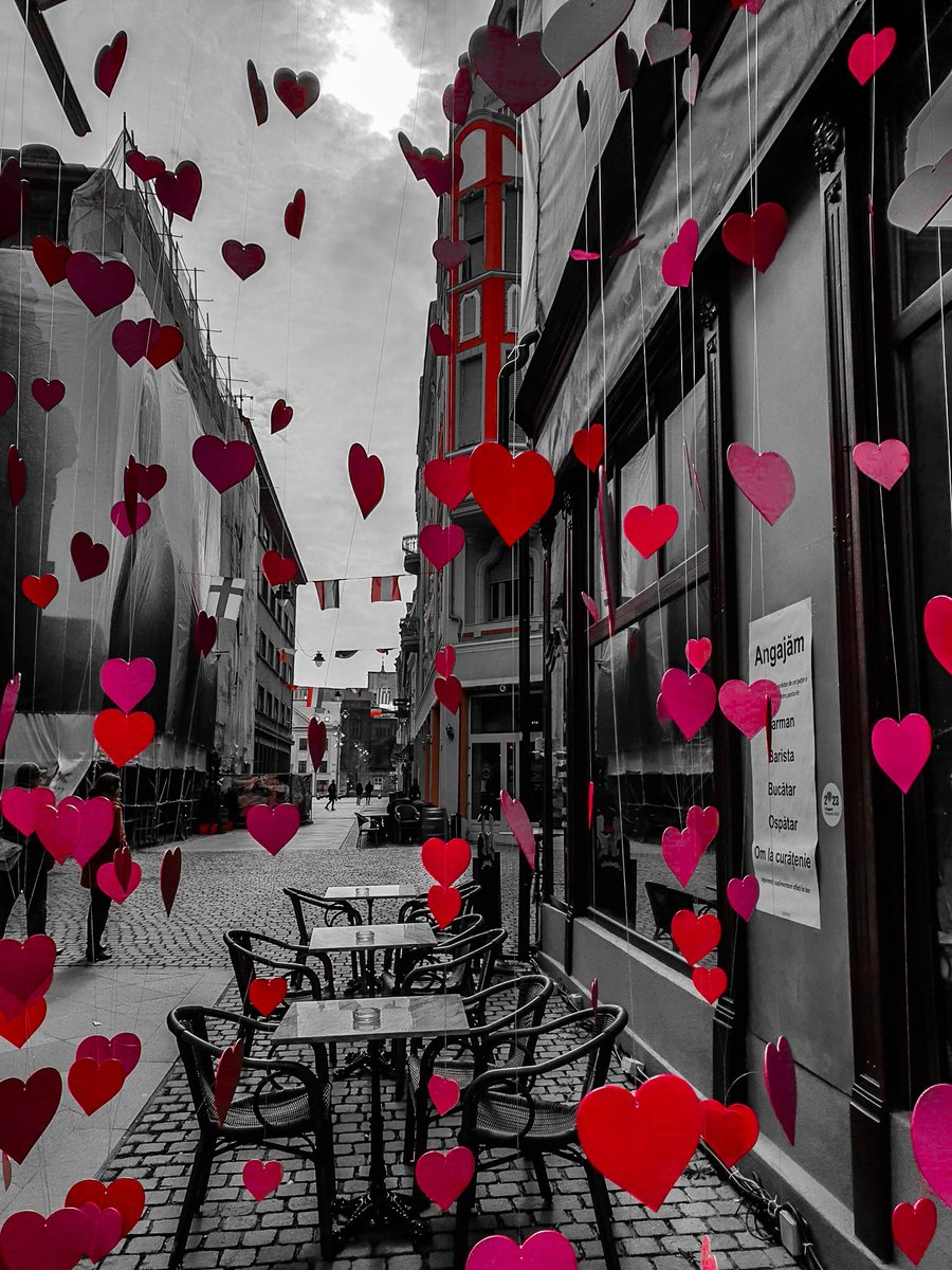 liliana_dorina's tweet photo. Timișoara, Romania ❤️
#Timișoara #Romania #TM2023 #streetphotography #urbanexploration #5March2023
#selectivecoloring
📸 #SamsungGalaxyNote10
Good Evening Friends ❤️ https://t.co/frpURmNtFt