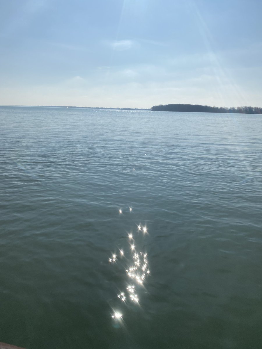 Not only did we hear red wing blackbirds, we also got >20 minutes of direct sunlight on our dog walk today. And magical water sparkles. Spring is afoot.