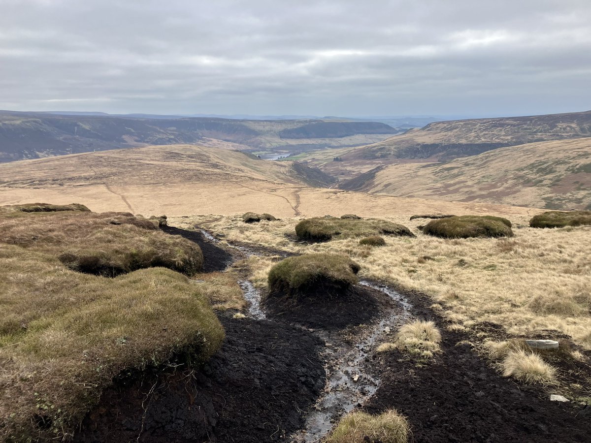 lizzierunning's tweet photo. First race of 2023 and probably the toughest marathon I’ve done! 26 miles of Pennine bogs and hills on the Saddleworth 10 Reservoirs. Beautiful but brutal! https://t.co/nsuUgJGvJL