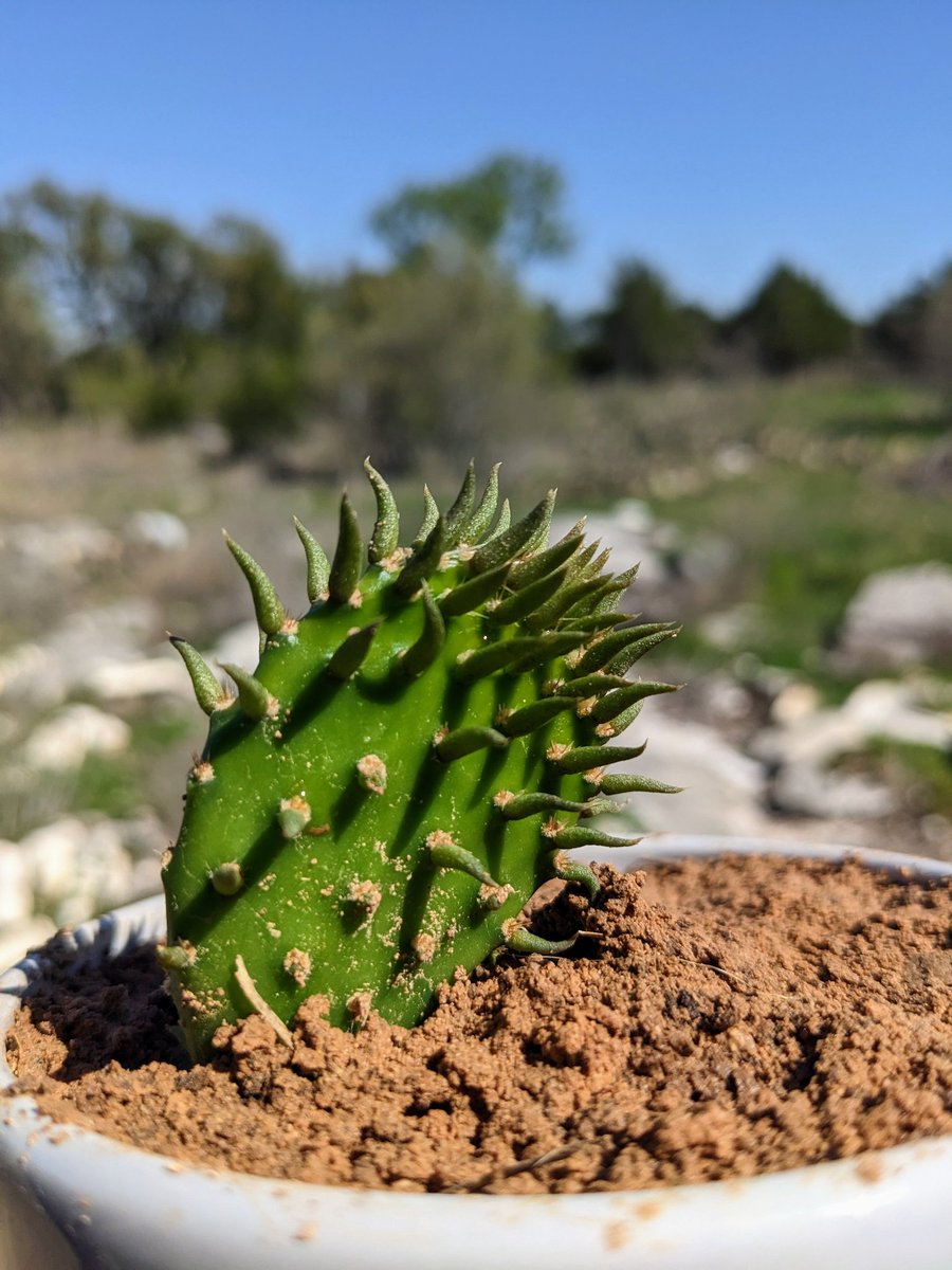 Adam Singer tweet media