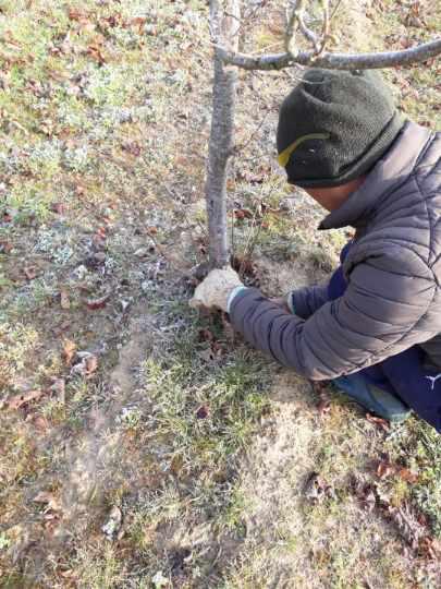 [ 𝗧𝗥𝗔𝗩𝗔𝗨𝗫 𝗔𝗚𝗥𝗜𝗖𝗢𝗟𝗘𝗦 ]
Certains de nos salariés ont réalisé un chantier d'épamprage de noisetiers 🌰
Nous réalisons différents travaux agricoles 💪
N'hésitez pas à nous contacter : 05 62 08 95 50 / contact@4-saisons.com
swll.to/pPu8st
#emploi #gers