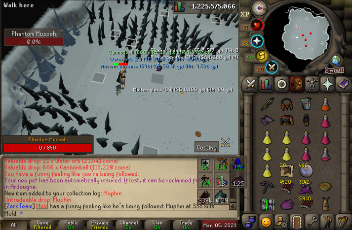MoldRs's tweet photo. Pet #27 Muphin!  The RNG is turning around #OSRS #PetHunting #Runescape https://t.co/XBBgB8QWnj