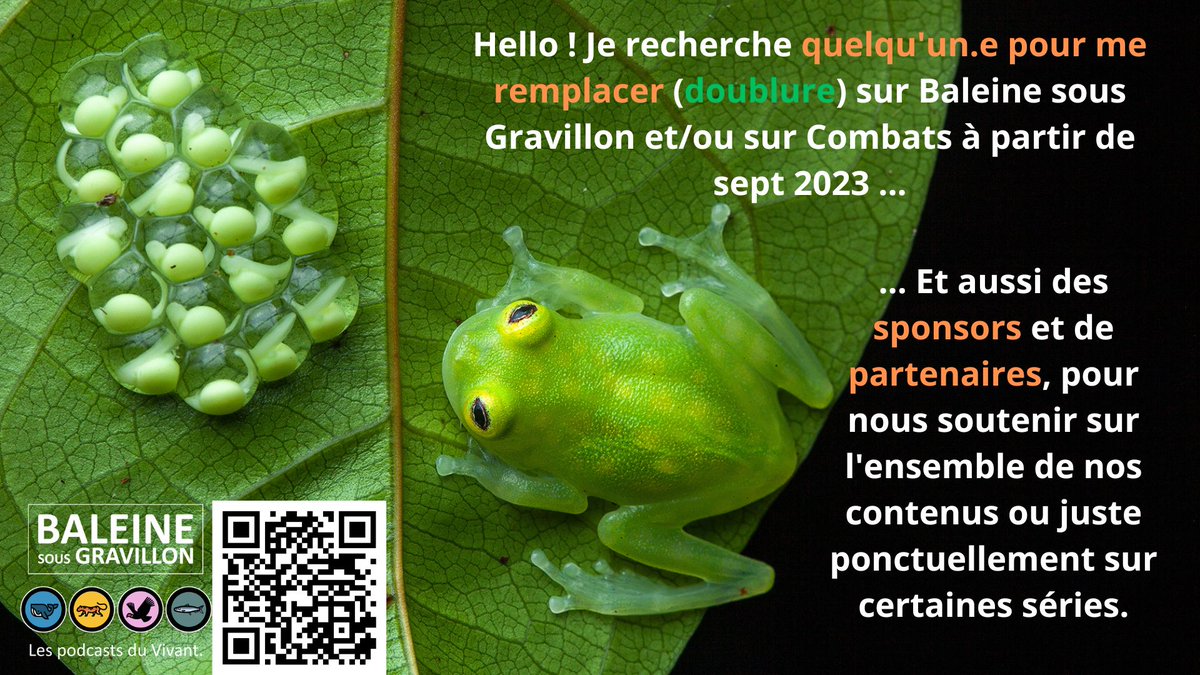 Baleine sous Gravillon - Marc Mortelmans🙈🙉🙊 tweet media