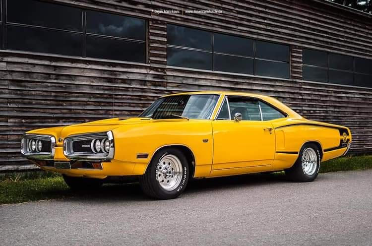 evltwnHD1's tweet photo. @lippyent '70 Coronets don't get nearly enough love...
#evileyes #mopar #Bbody #SIK! https://t.co/pa8C5lkbfV