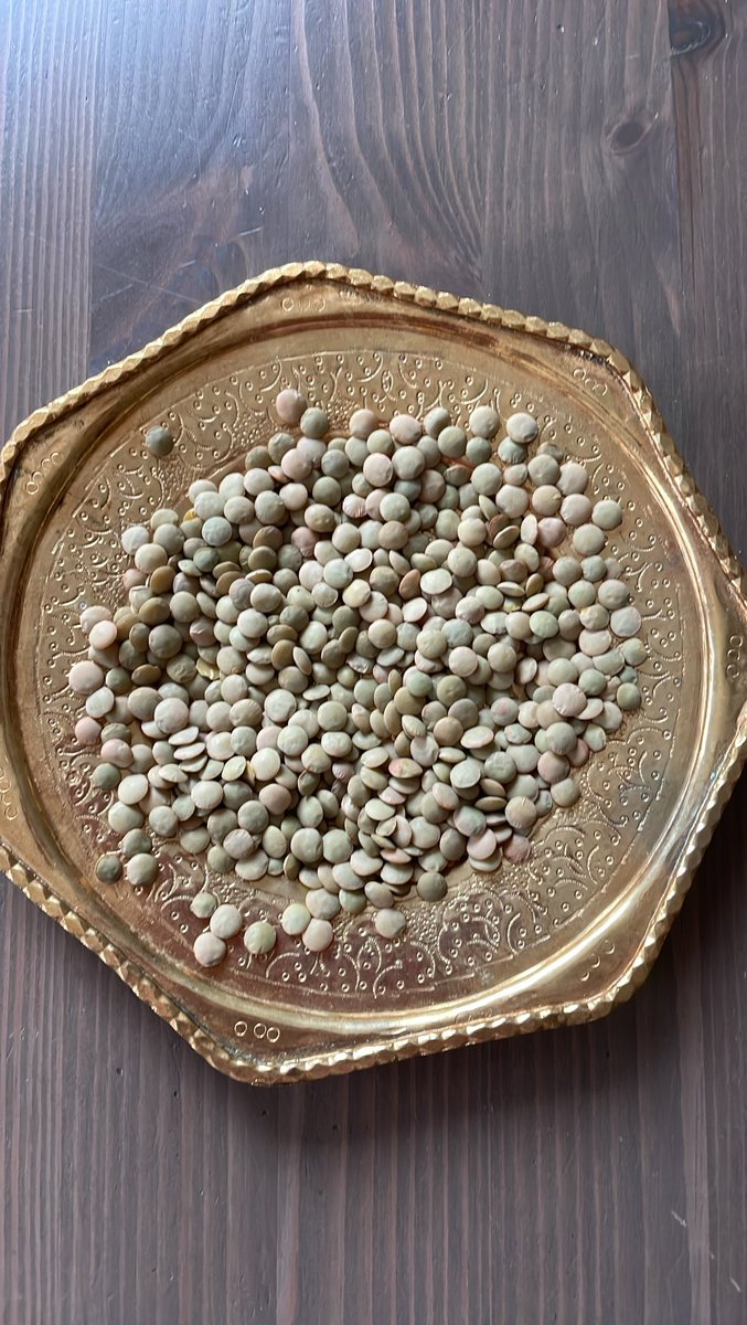 Friends, we will begin sprouting our Nowruz sabzeh TOMORROW MONDAY MARCH 6. Nowruz means “new day” in Persian and sabzeh symbolizes new life and hope. Hope, peace, and freedom. Details: instagram.com/p/CpaletIPzcC/…  #botpsabzeh2023