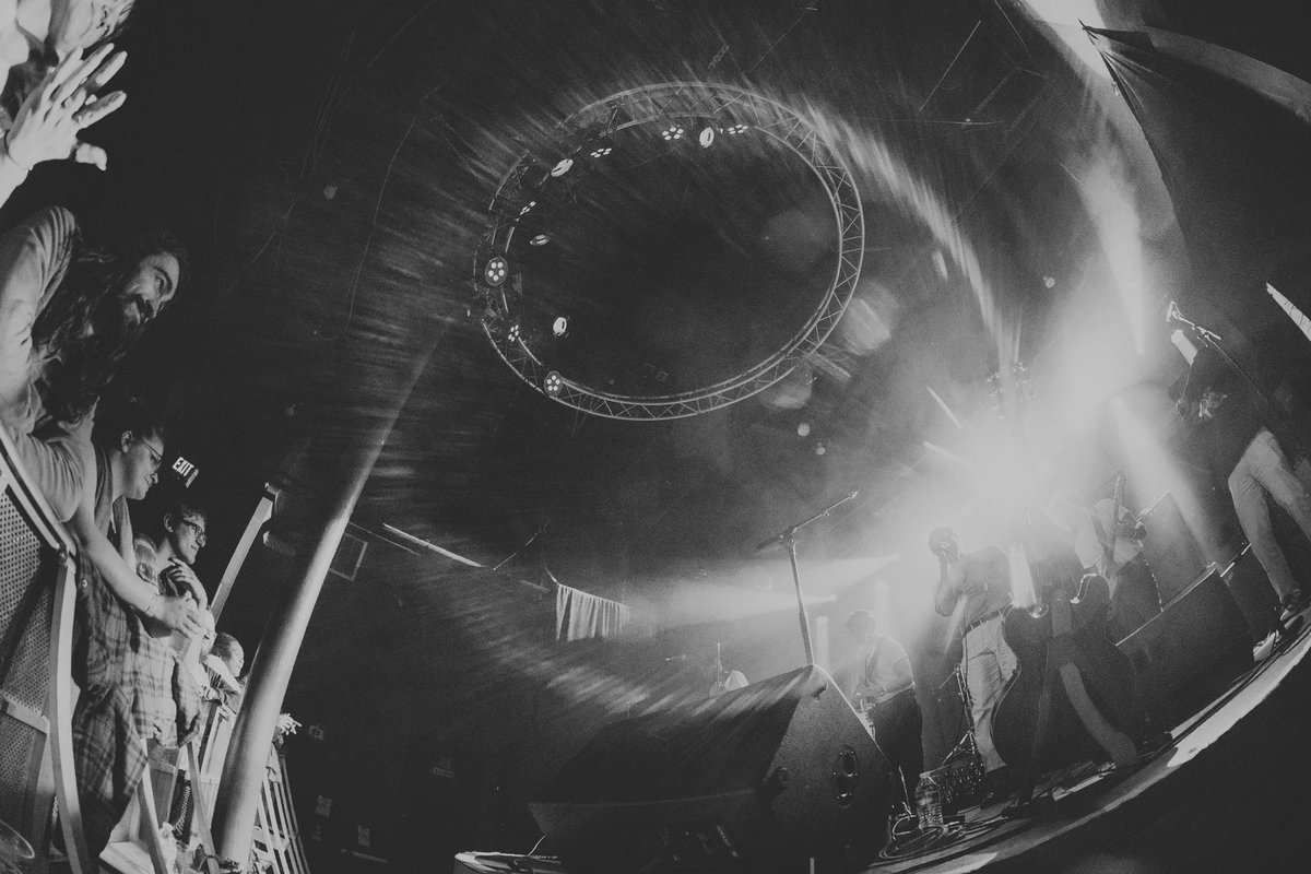 elyza reinhart tweet media