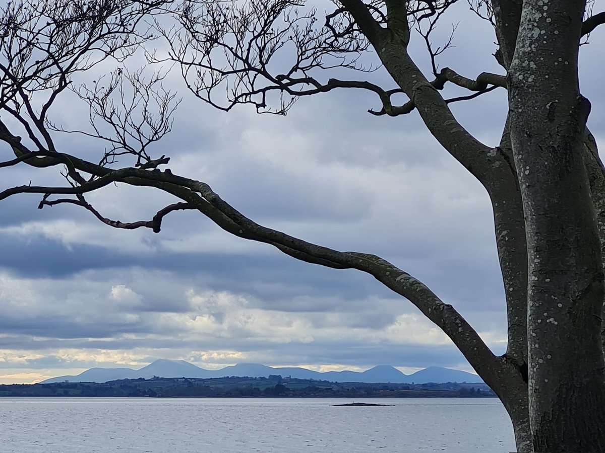 #strangfordlough you absolute beauty!

#discoverni #northernireland #ardspeninsula #mountstewart