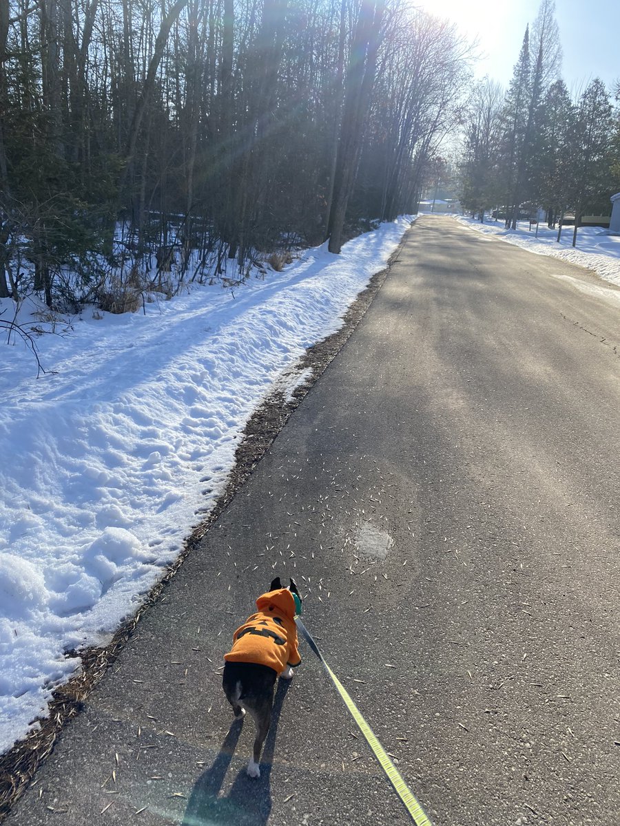 allman_miss's tweet photo. Yes I know there is snow still on the ground but we are starting our spring routine. 25 minute walks in the morning with my number one. #sunshine #blessed #teacheronbreak #Frenchie https://t.co/9Kfre1lgm7