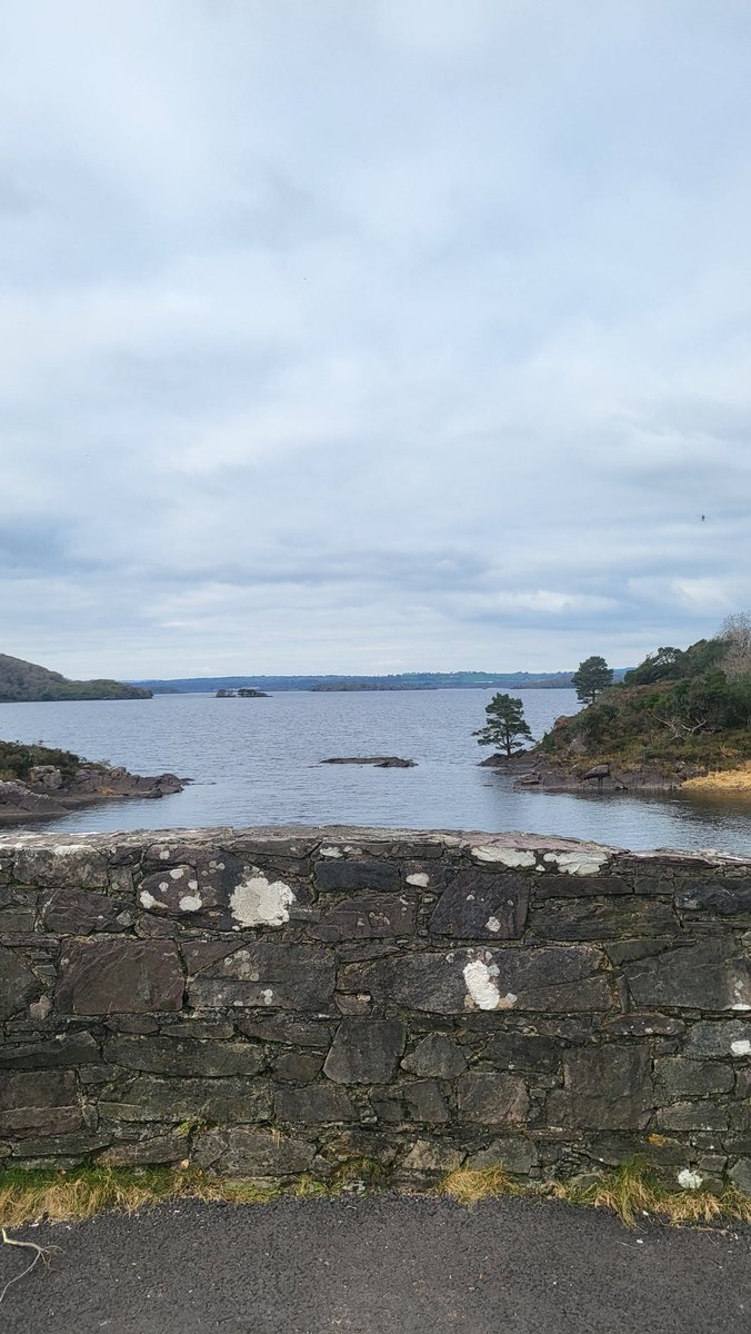 Mccarthy25S's tweet photo. Great day touring killarney to kick off IHF Conference 2023 @IHFcomms #LoveKillarney @MuckrossHouse #DinisCottage https://t.co/W0IFOLOVK4