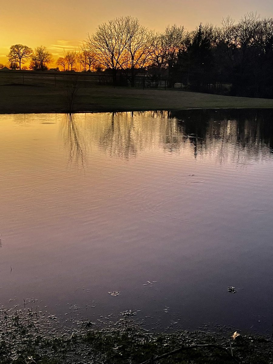 The end of another great day here on the farm