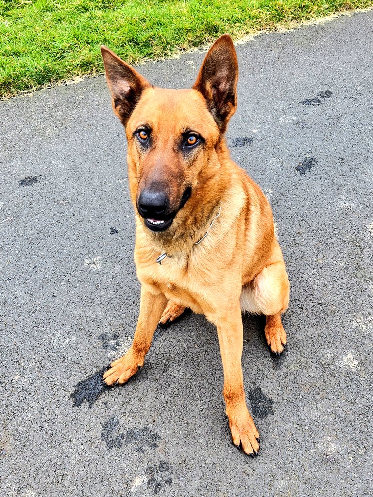 MOM🇺🇸 tweet media