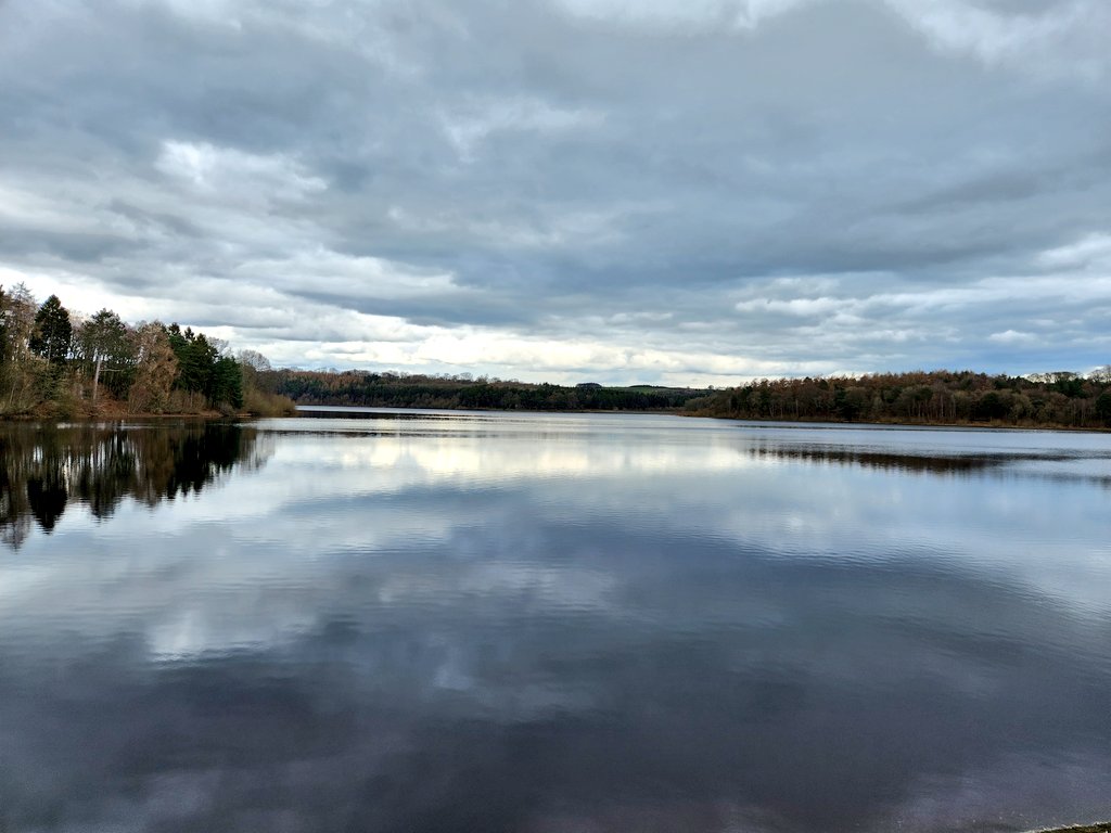 MOM🇺🇸 tweet media