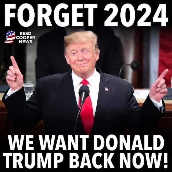 TJDOGMANR2's tweet photo. @smrose29 @AGuyOnTw_tter @thejavawitch @CasanovaX8X @827js @RDog861 @Lisahudsonchow7 @Steveadams76 @GreyLady45 @NancyMar2022 @JimGagnon6 @InjunJoe2726 @FishermanWords @CHRISsW0RLD @CoVet_81 @kagkj76 @PeriklesGREAT @pixiebell2022 @KeysLiisa Thank you for including me with these fantastic Patriots Rose! Please follow this wonderful Conductress and Patriot @smrose29 🇺🇸 🌹 🍊🇺🇸 https://t.co/WAuIDZZtui