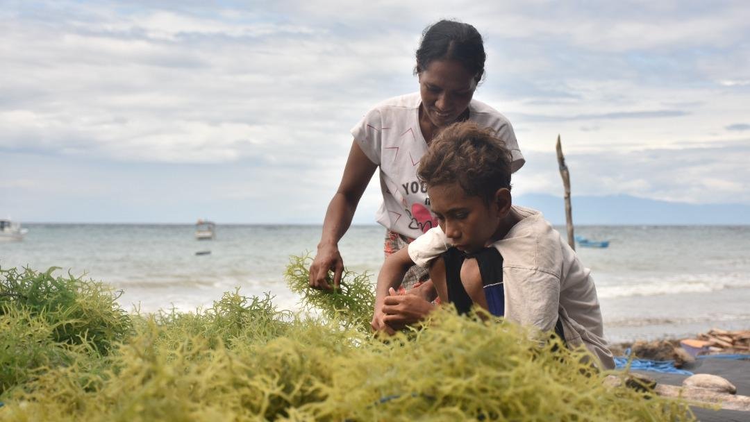 ASteiner's tweet photo. 54% of #LDCs are either in or at high risk of debt distress. Countries struggling w/debt can't invest in the #SDGs or #ClimateAction.
At #LDC5, we can leverage the #SDGStimulusPlan as a roadmap to restructure the financial system to impact recovery. https://t.co/6vd1pvZJmo https://t.co/HJbRhXwkZ6