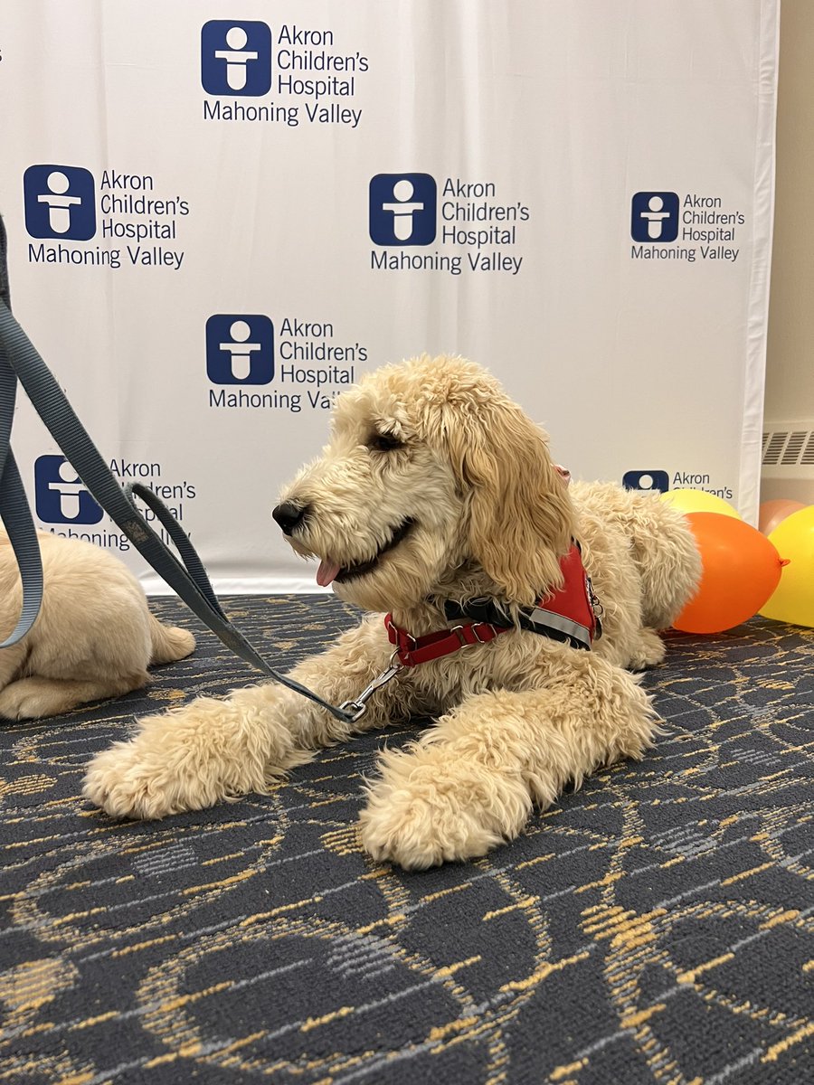 KSU Flashathon tweet media