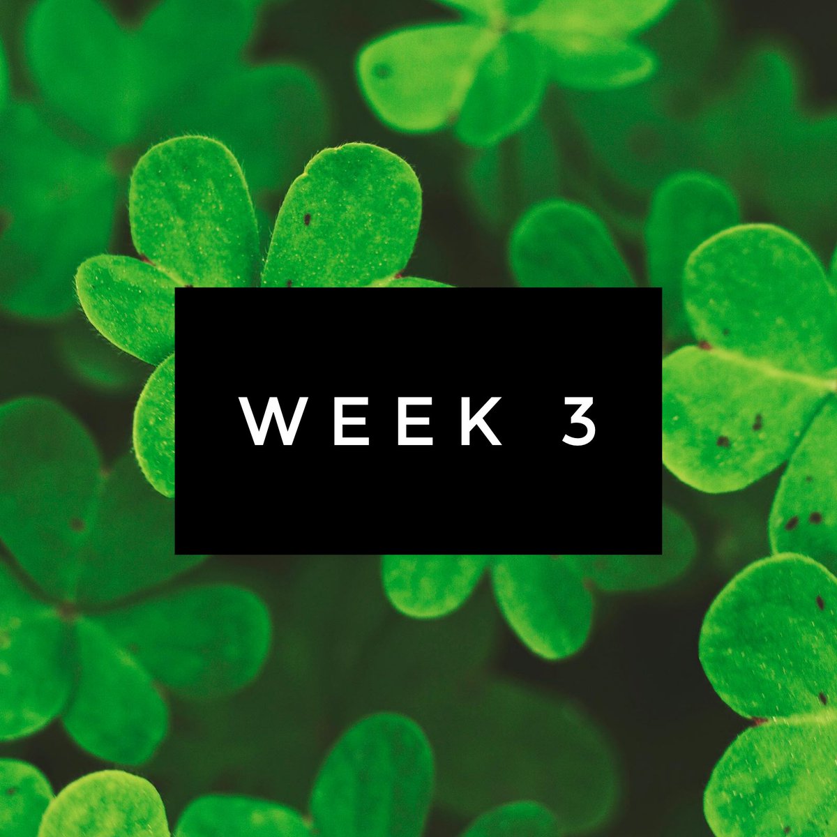 heppdt's tweet photo. Another week about to start!
- workshops @SpringvalePS
- workshops @JosephLockePS
- workshops @BFootAllerton
- workshops @holyroodcps
- workshops @ParsonCEprimary
- workshops @Whitecote
- CPD @noctuateaching
#primaryDT #workshops #CPD #trainingandconsultancy https://t.co/PH5t1MP7n7