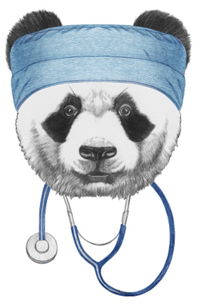 Michelle B ☀️ 🇨🇦 tweet media