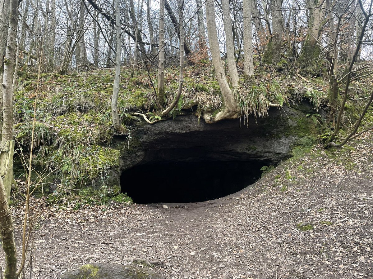 🍨 #Snowdrops #River #BridgeofAllan #DarnWalk #Cave