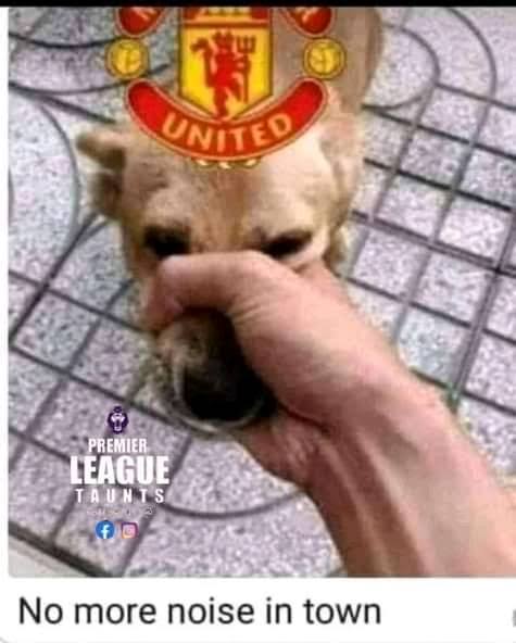 shapuboy's tweet image. Hawa nyumbu Leo 😂😂😂