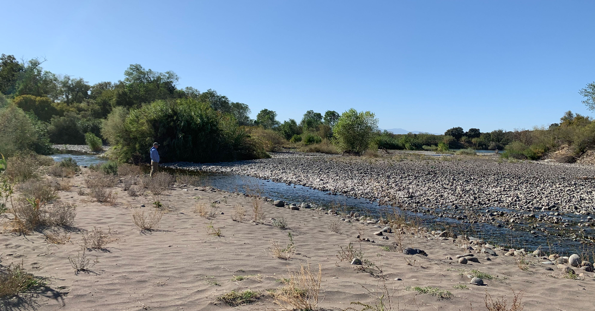 Conserve_CA's tweet photo. How did TNC keep Mill Creek from running dry?

In 2020, TNC acquired water rights to Mill Creek in the Lassen Foothills. While other creeks went dry during last year’s drought, Mill Creek kept flowing. Why? 

https://t.co/A90uGiEQNY https://t.co/YeXLNyOpiu