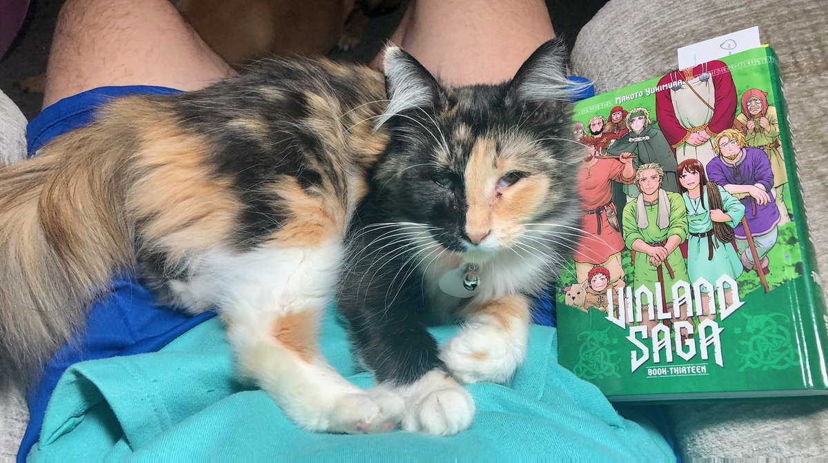 HarvLovesComics's tweet photo. Vinland Saga is a great manga. Start with the first volume #comics #comicbooks #manga #CatsOfTwitter https://t.co/qnYAubfLL0