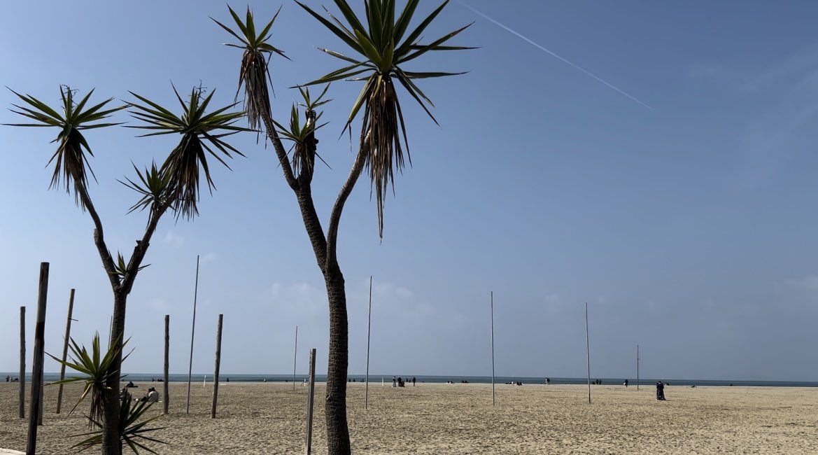 JakeCKCG's tweet photo. After a successful staff hand over 🤝@MWCCGCK and I lead our @coleggwent Crosskeys Computing learners to the western coast of Italy 🇮🇹 to explore the beautiful seaside town of Viareggio before moving onto Pisa where many accented the great leaning tower! 🤌 @erasmusplusUK https://t.co/HxvbYio6rt