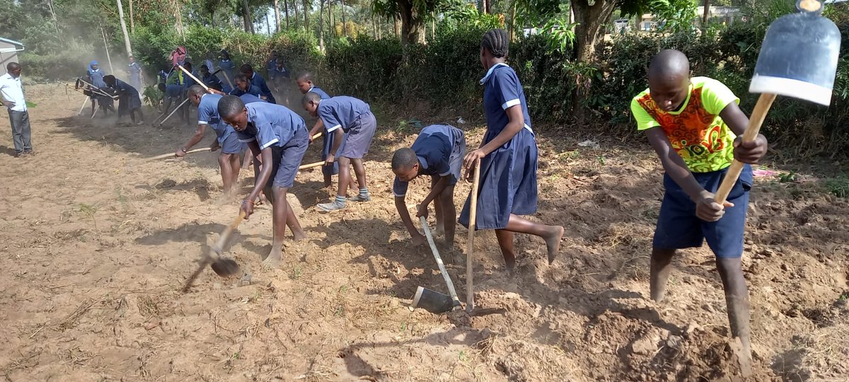 KarenNekesa's tweet photo. #permacultureEthics
Earth care β care for the living soil, do not deplete its fertility
People care β look after ourselves, our families, our neighbours, our communities
Fair share β set limits to consumption and redistribute surplus @Afsafrica @RLSEastAfrica @FundAgroecology https://t.co/J0oCek1s7f