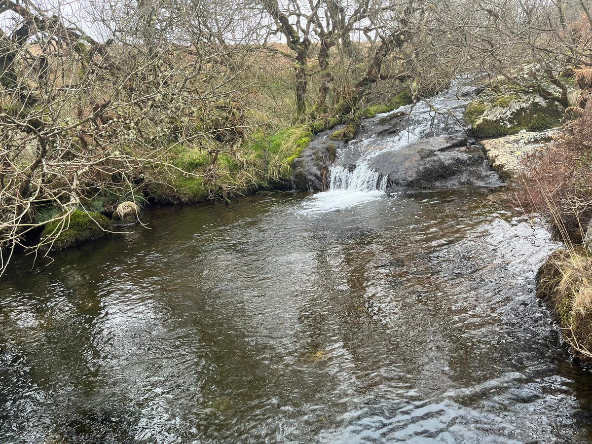 BDS_OutdoorED's tweet photo. Well done @Futura_Learning @BdownSchool @Trips_BDS @OfficialTenTors participants who trained on the beautiful @dartmoornpa @DartmoorDevon this weekend. One step (many steps) closer to the event in April. Good work everyone, 👍🏻 https://t.co/afTz5zkmcq