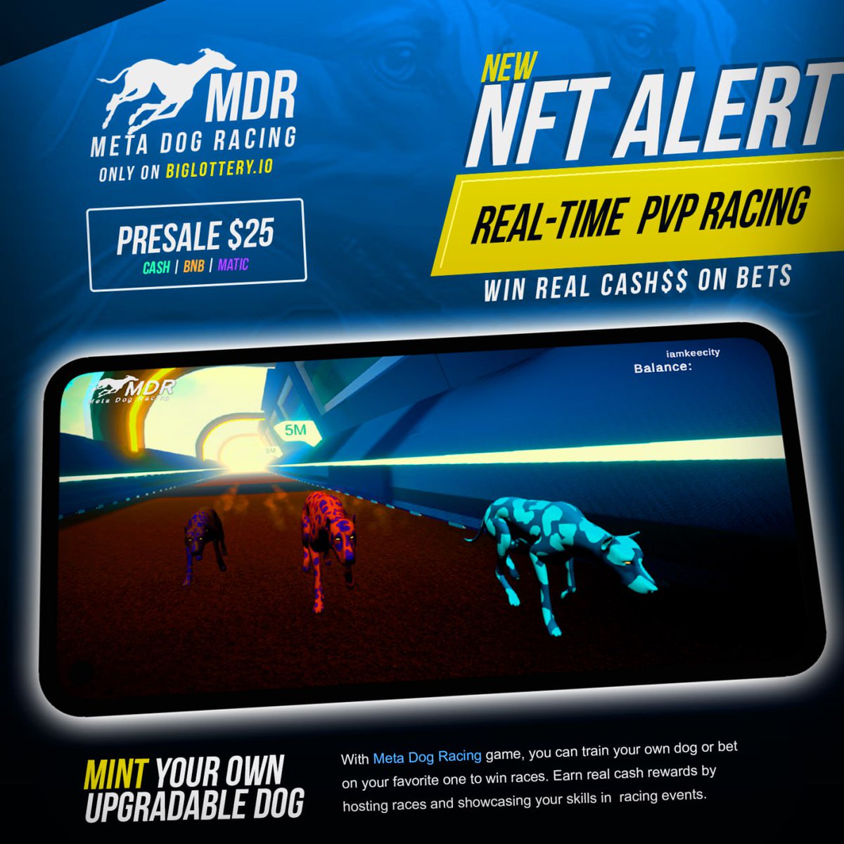 DFKGAMINGSOCIA1's tweet photo. #NFTCommunity #PolygonNFTs @DFKGAMINGSOCIA1 #DFK #NFTs #Whitelist Live

Use in game to earn 
 #Meta Dog Racing🤯 #MDR train and race your 🐕

#WL for your #Presale minting spot 👉sign up

 only 1000👀
https://t.co/XI0YQqciob

#NFTGiveaways @0xPolygon @famous_dyl @defikingscrypto https://t.co/WGjACjOqJG