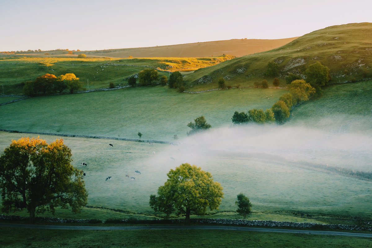 DanielCasson1's tweet photo. Low fog // https://t.co/nR70AAmndu
