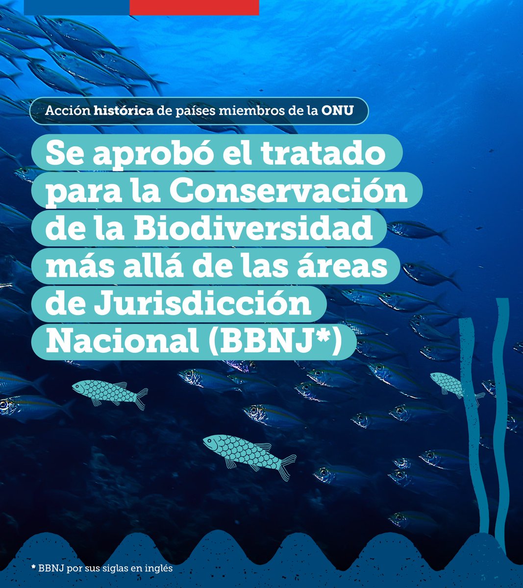 Gobierno de Chile tweet media