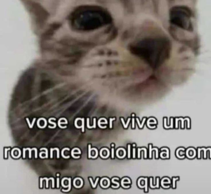 Memes para marcar ele(a) (@memeparaoarroba) on Twitter photo 