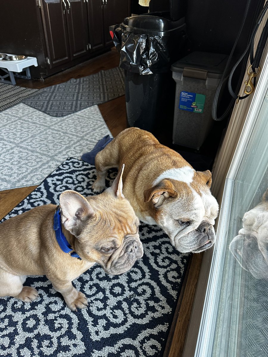 We always find time in our schedule for backyard patrol