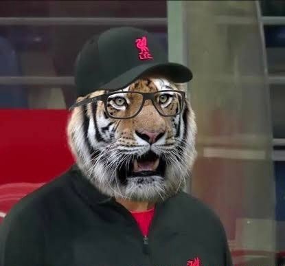 When you see Liverpool put seven past Man United