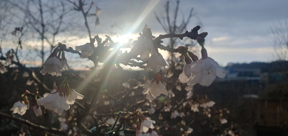 Matt Broom tweet media