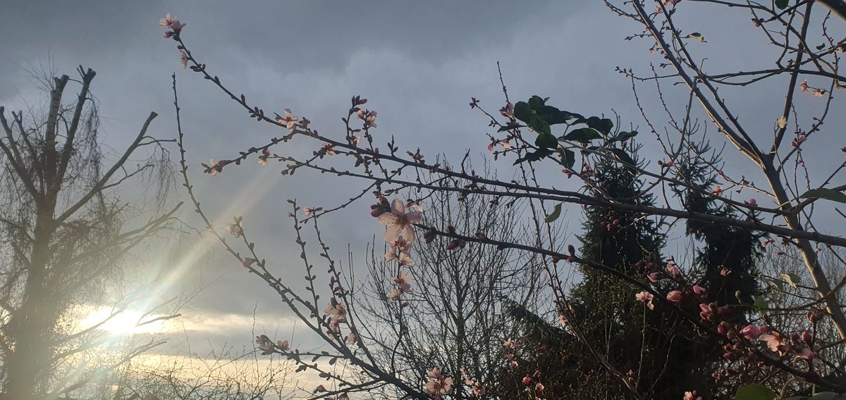 Matt Broom tweet media