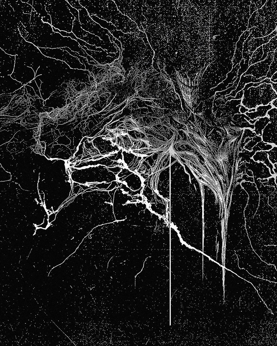 Loudsonic 👁 tweet media