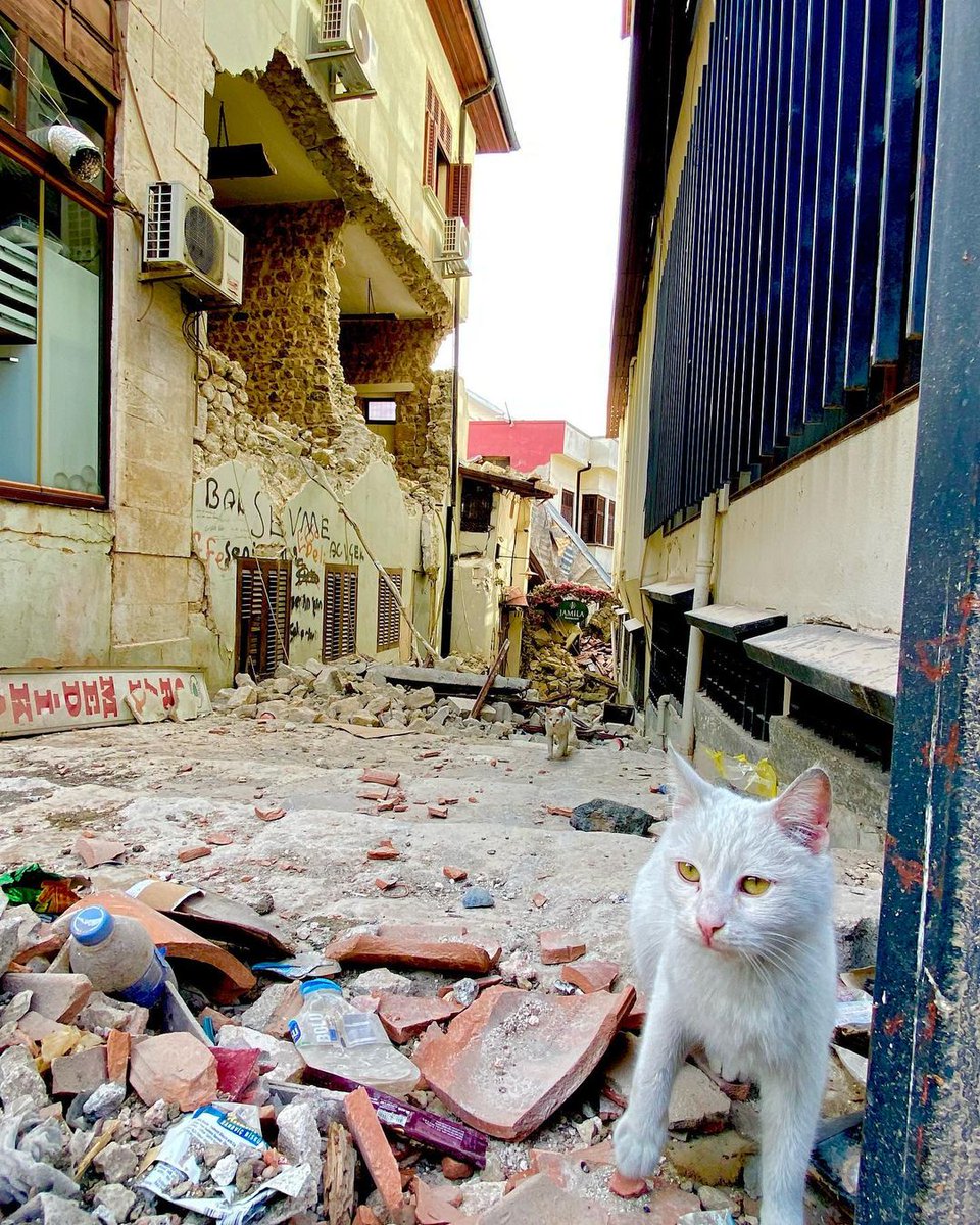 Yeniden ayağa kaldıracağız Hatay💔
#hatay #antakya
